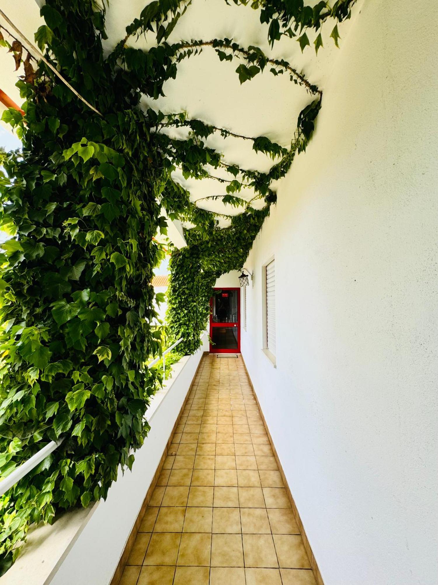 Nature & Beach Guest Rooms, Aldeamento Turistico Do Camarido Cristelo  Ngoại thất bức ảnh